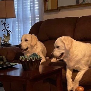 Meet your Posher, Terri